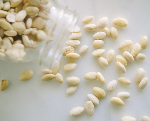 nut milk